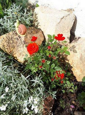 Nagyné Ékes Erika kertje 05